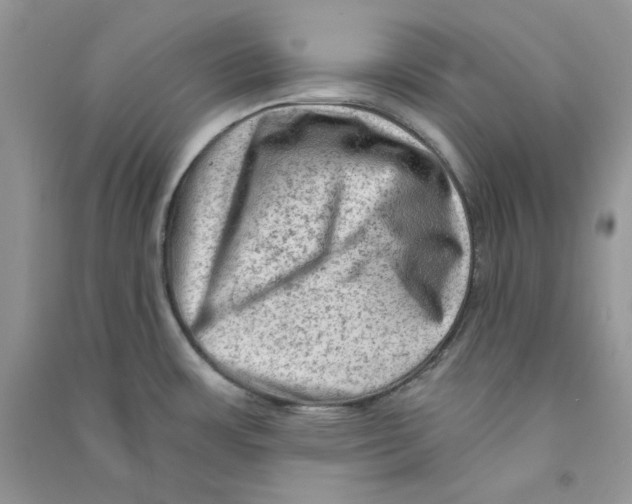 X0000090731483200708171937