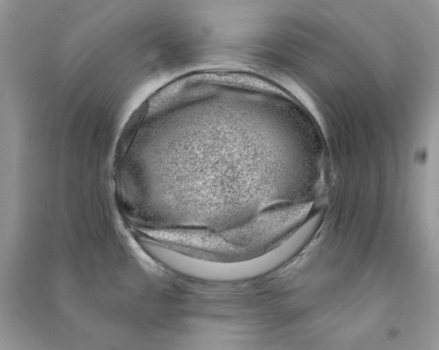 X0000090731485200708171937