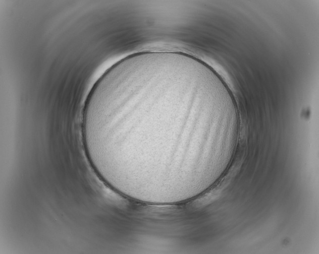 X0000090731486200708171937