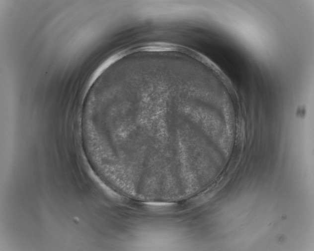 X0000090731487200708171937