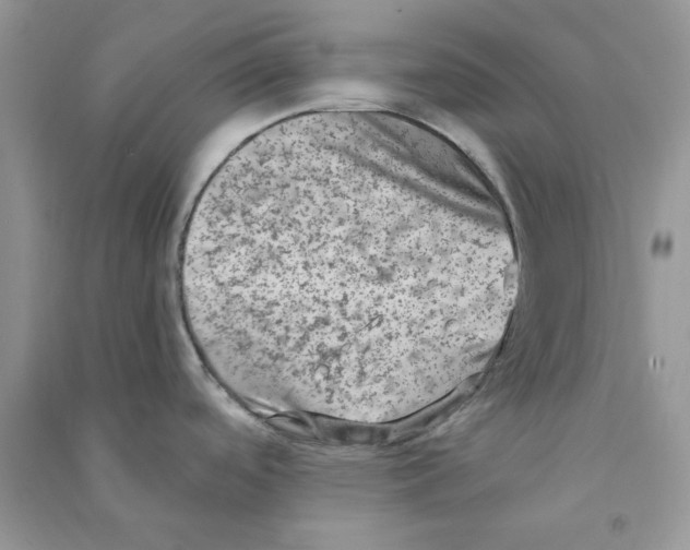 X0000090731488200708171937