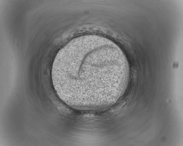 X0000090731489200708171936