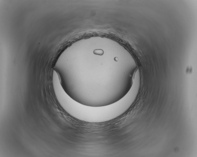 X0000090731492200708171936