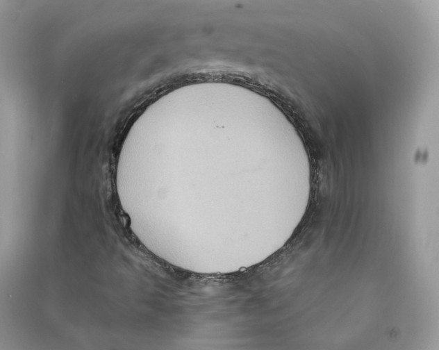 X0000090731493200708171936