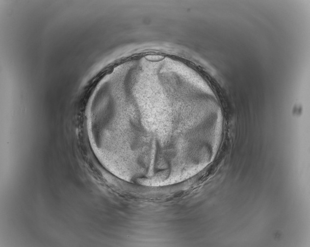 X0000090731496200708171936