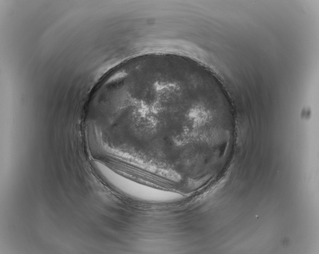 X0000090731497200708171936