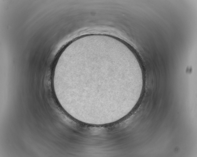 X0000090731498200708171936