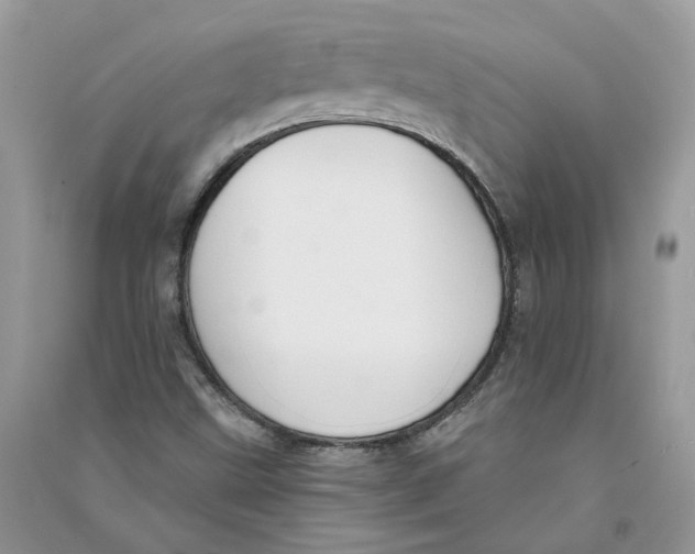 X0000090731499200708171936