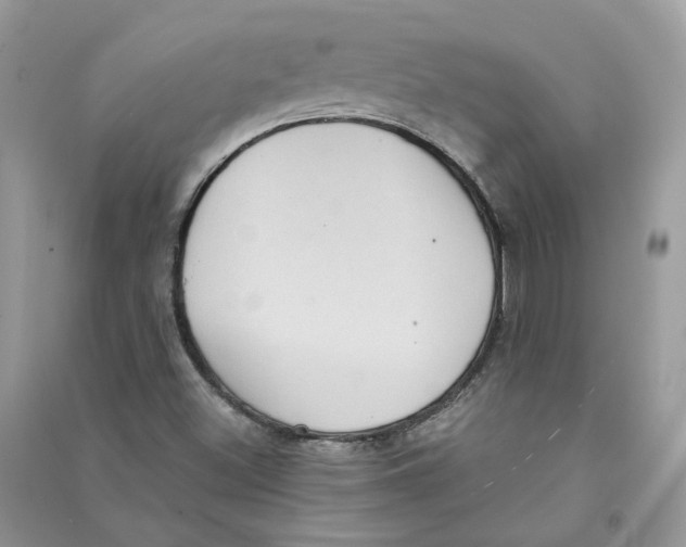 X0000090731500200708171936