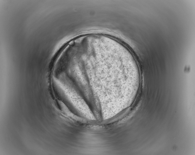 X0000090731501200708171936