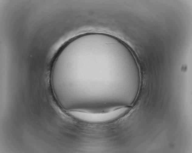 X0000090731503200708171936