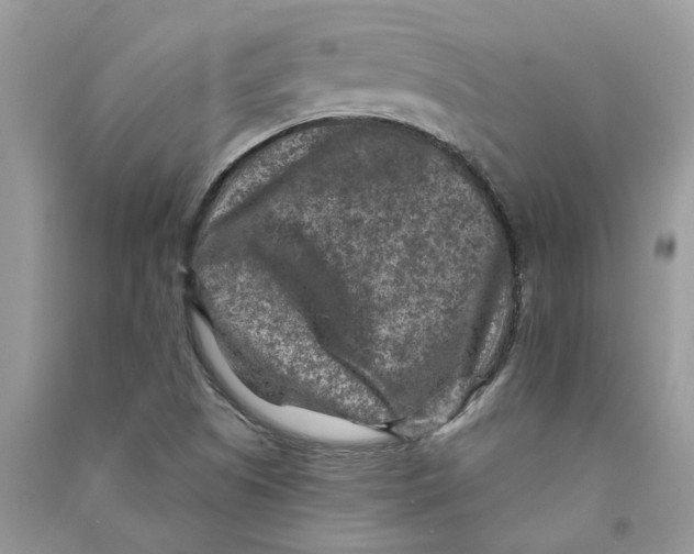 X0000090731505200708171936