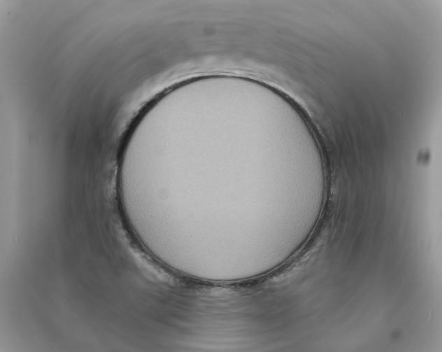 X0000090731507200708171936