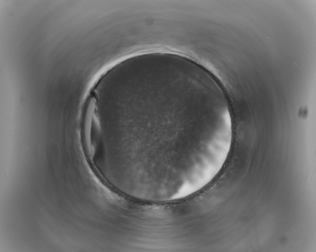 X0000090731508200708171936