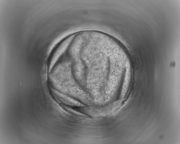 X0000090731510200708171937