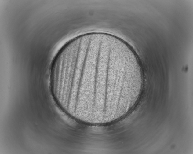 X0000090731511200708171937