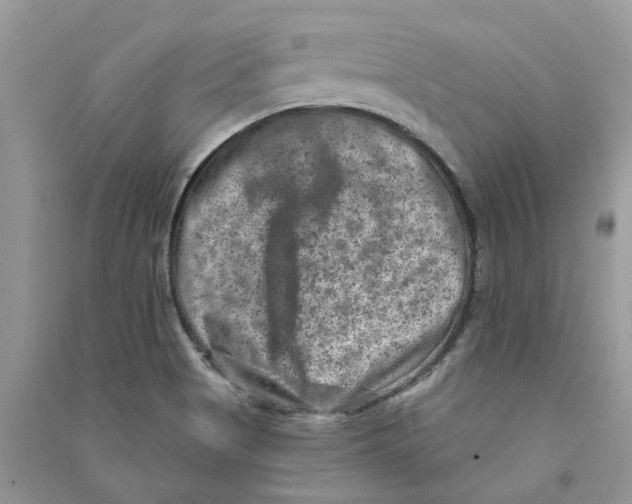 X0000090731513200708171937