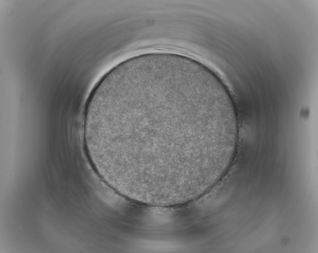 X0000090731514200708171937