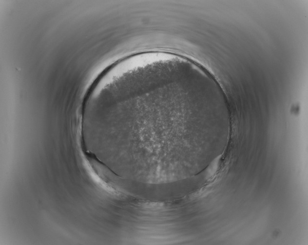 X0000090731515200708171937