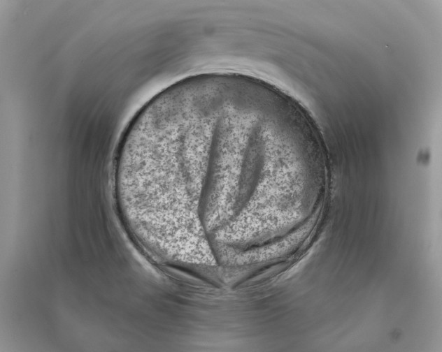 X0000090731517200708171937