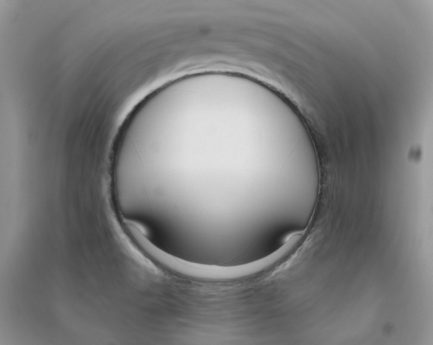 X0000090731518200708171937