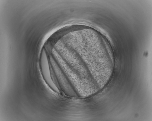 X0000090731520200708171937