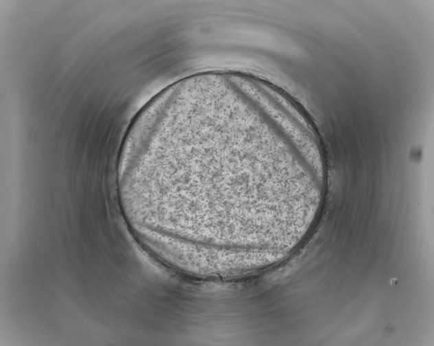 X0000090731521200708171937