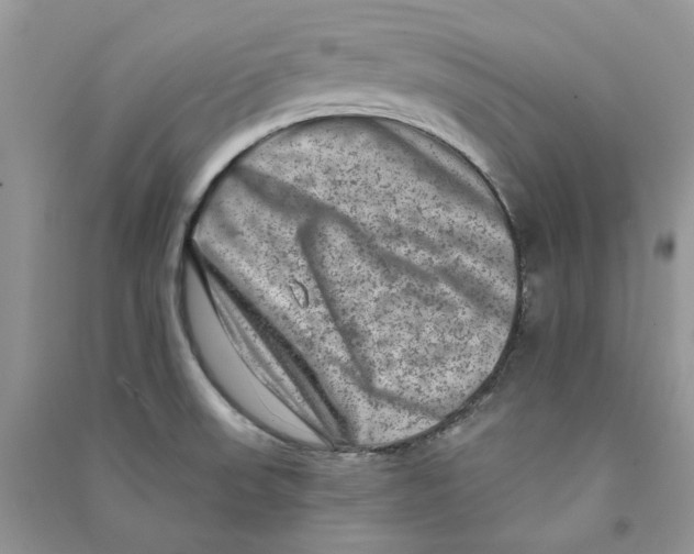 X0000090731523200708171937