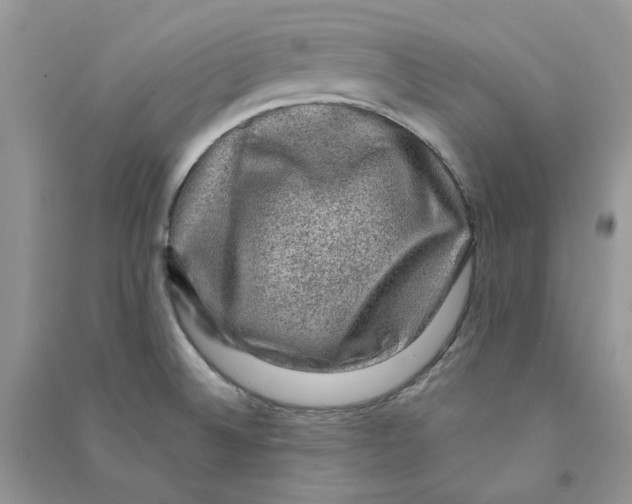 X0000090731524200708171937