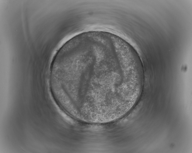 X0000090731525200708171937