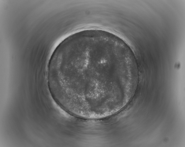 X0000090731527200708171937