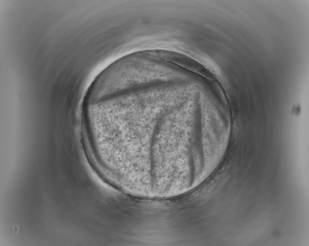 X0000090731528200708171937