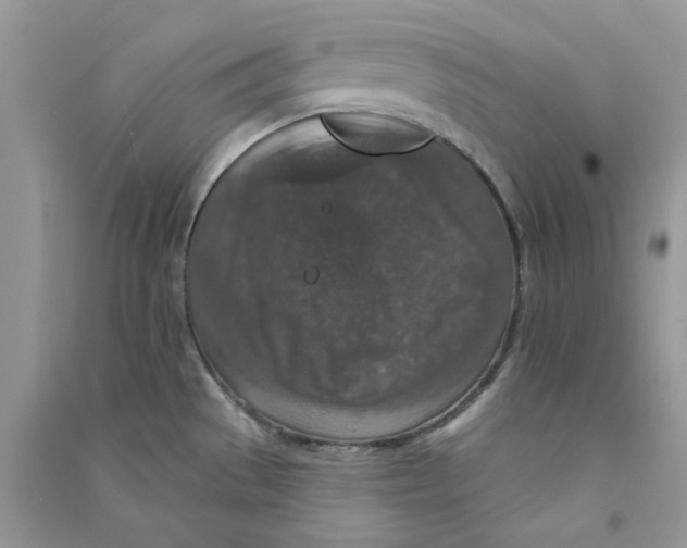 X0000090731529200708171937