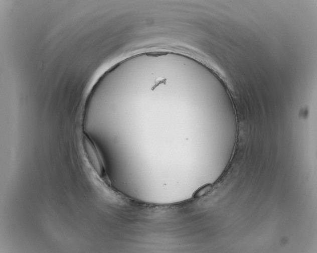 X0000090731530200708171937