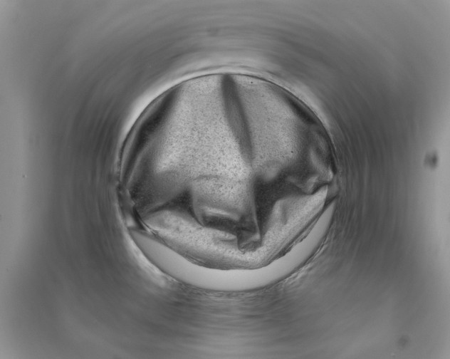 X0000090731532200708171937