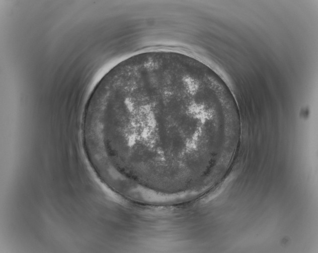 X0000090731533200708171937