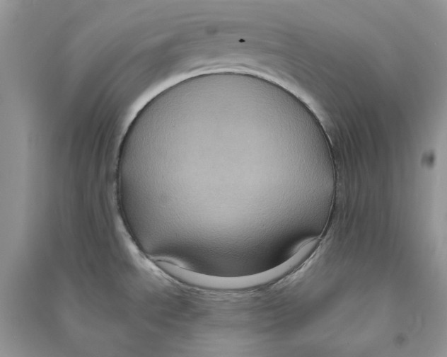 X0000090731534200708171937