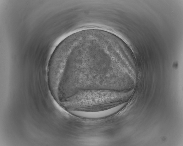 X0000090731535200708171937