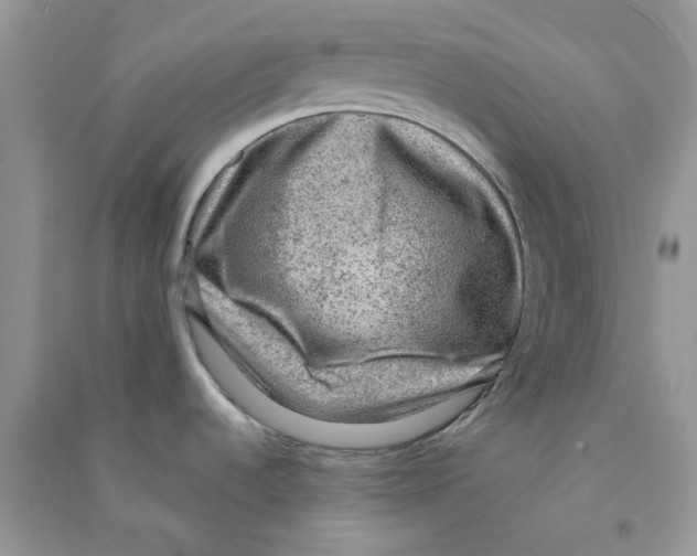 X0000090731536200708171937