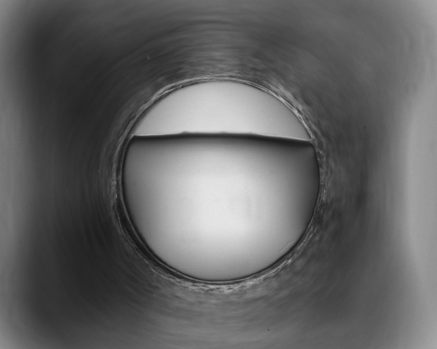 X0000090740002200707201022