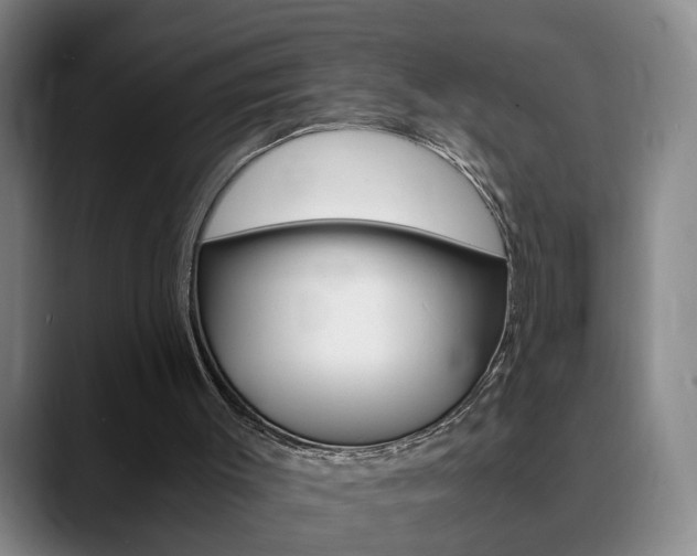 X0000090740003200707201022