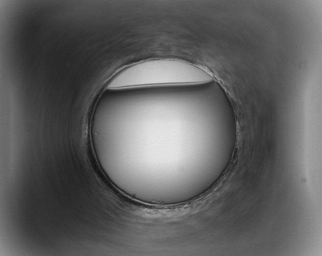 X0000090740005200707201022