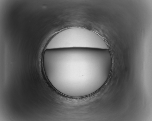 X0000090740006200707201022