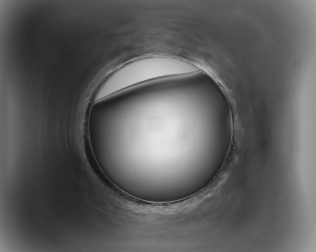 X0000090740007200707201022