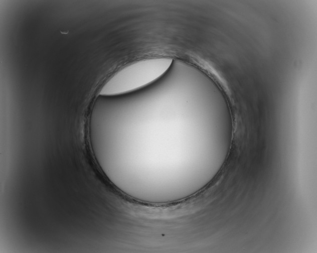 X0000090740010200707201021