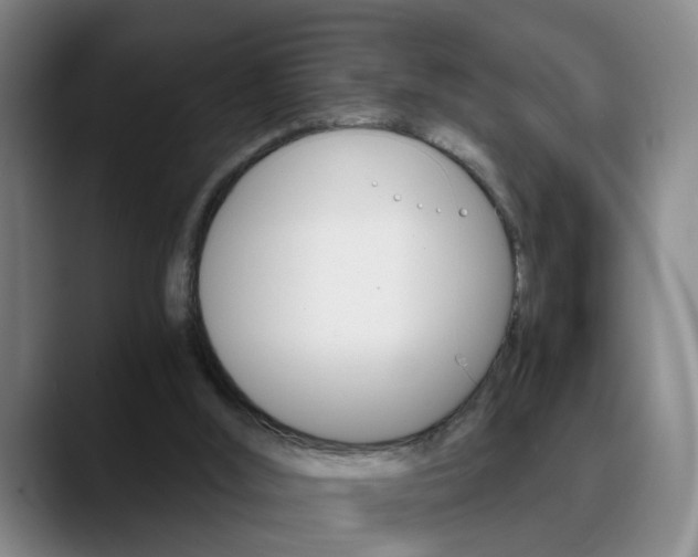 X0000090740012200707201021