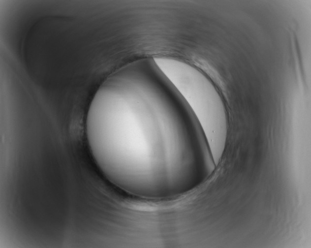 X0000090740017200707201021