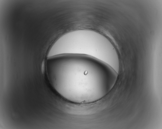 X0000090740019200707201021