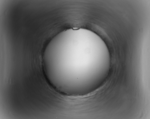 X0000090740025200707201021