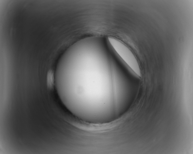 X0000090740027200707201021